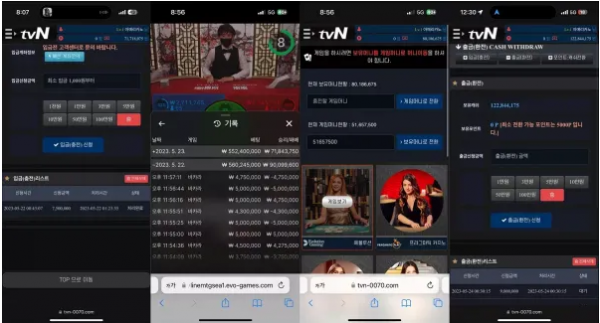 【먹튀사이트】 티비엔 TVN tvn-0070.com