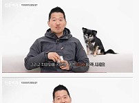 활동량을 많이 늘리면 안되는 치와와