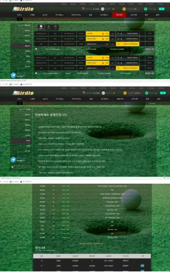 【먹튀사이트】 버디 BIRDIE bud-01.com