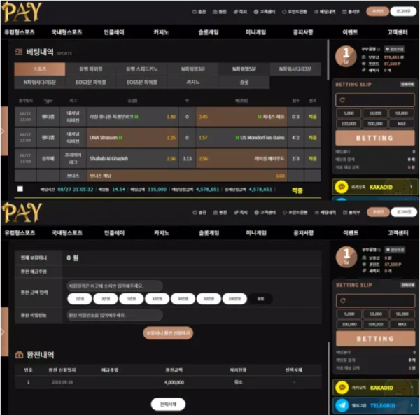 【먹튀사이트】페이 PAY pay-tt.com