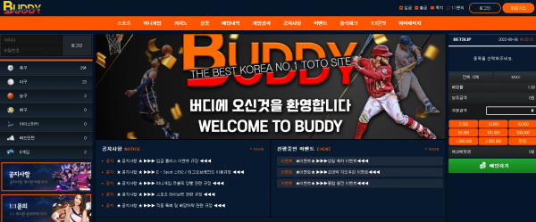 【먹튀사이트】버디 (BUDDY) bd-101.com