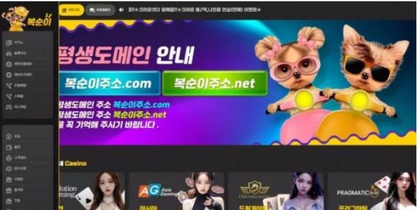 【먹튀사이트】복순이 bse-1004.com