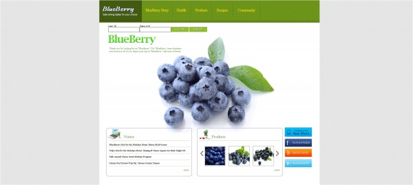 【토토사이트】블루베리 (BLUEBERRY) kkk-mlb001.com