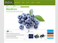 【토토사이트】블루베리 (BLUEBERRY) kkk-mlb001.com