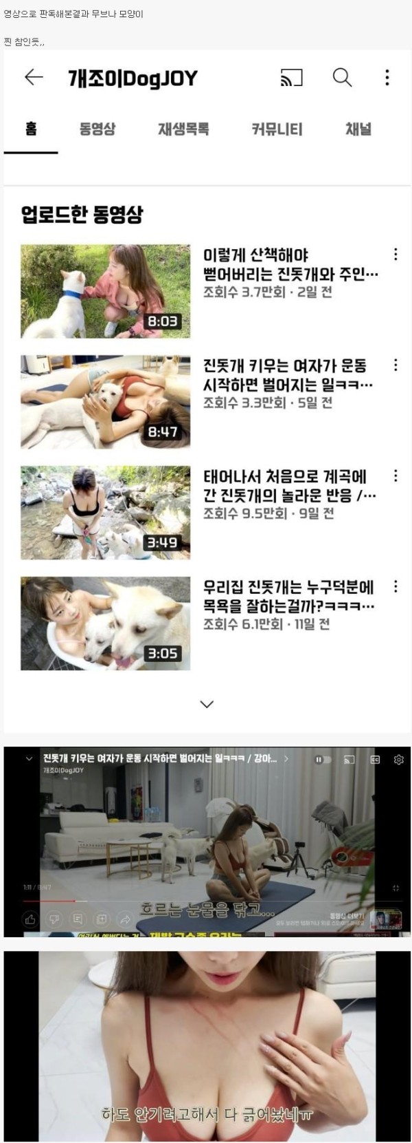 강아지와 함께하는 유투버 감탄이 절로 나오는 피지컬