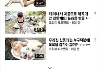 강아지와 함께하는 유투버 감탄이 절로 나오는 피지컬