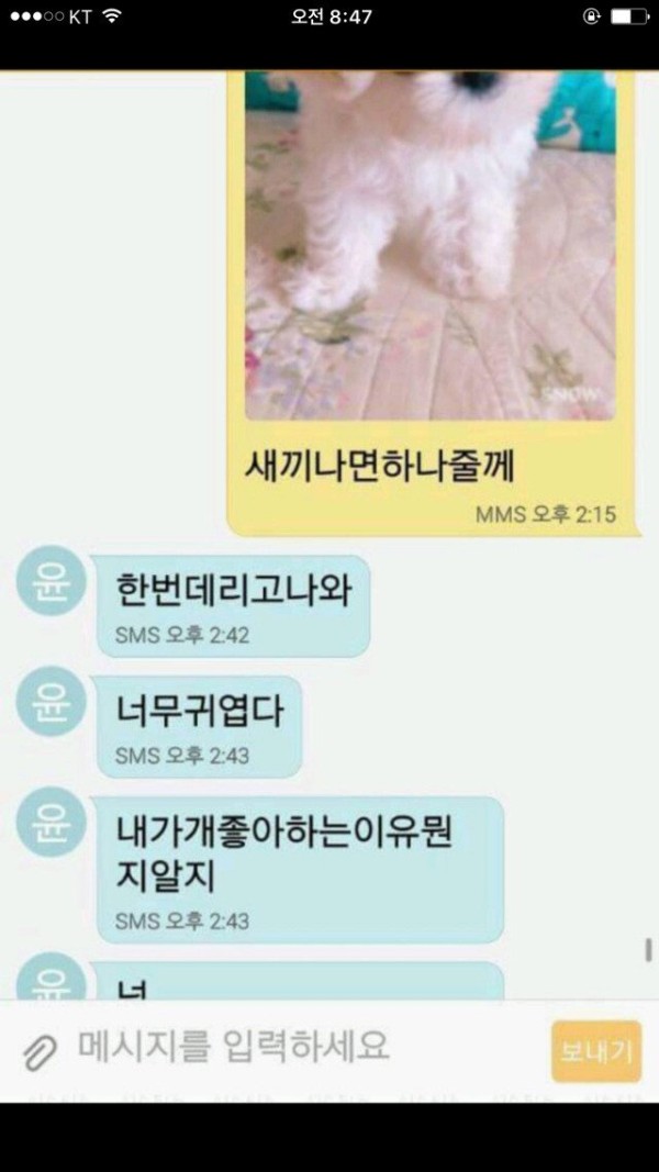 50대 형님들의 카톡내용 ㅋㅋㅋ