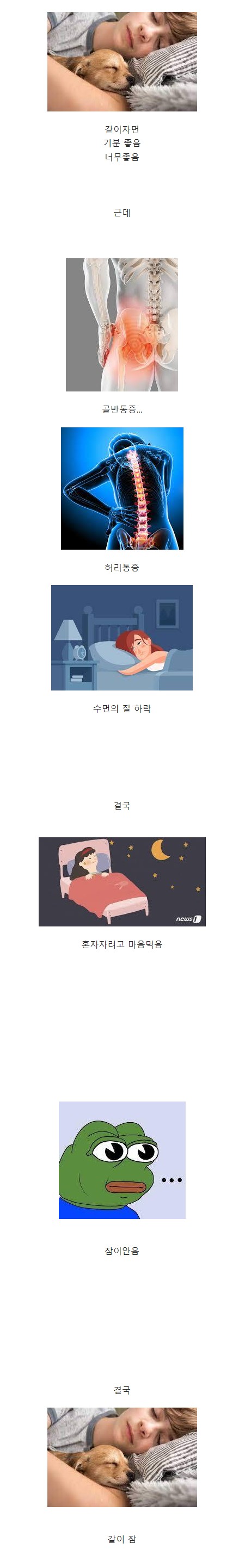 반려동물 키워본 사람이라면 공감갈만함 ㅋㅋㅋ