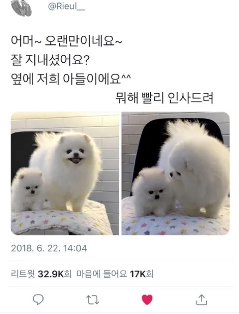 저희 아들이에요