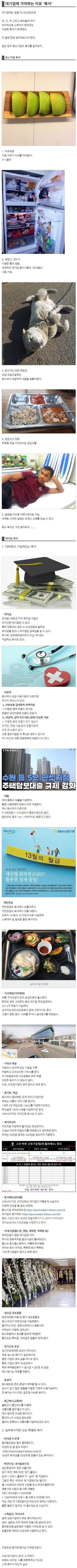 대기업에 가야하는 이유