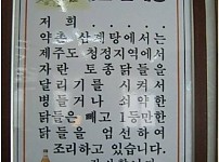 1등한 닭들은..