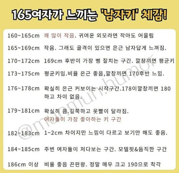 165여자가 느끼는 남자키 체감