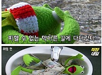 직장인이 되기 전 후