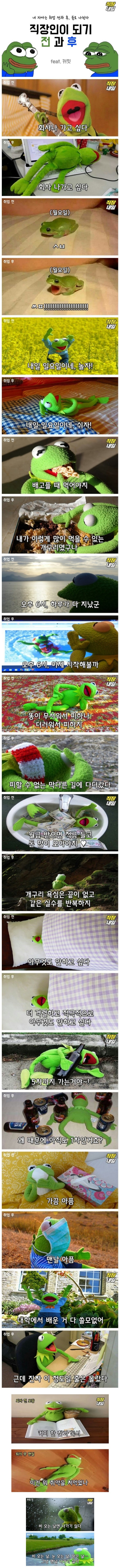 직장인이 되기 전 후