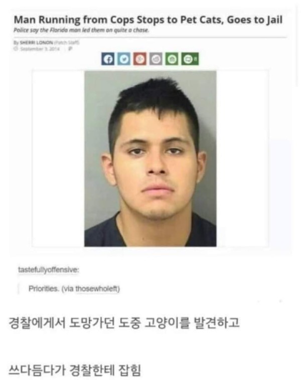 도망가다 잡힌 이유