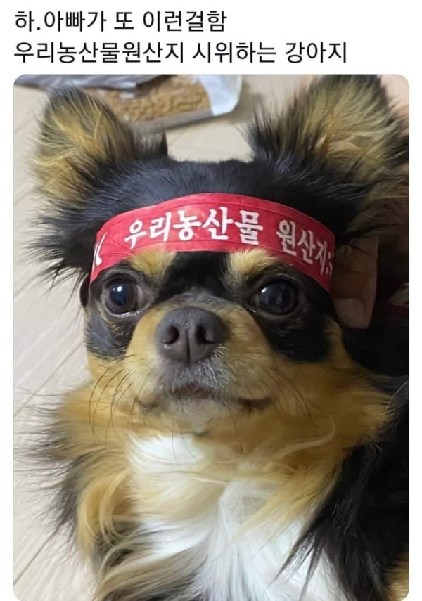 하 ..아빠가 또 이런걸함..