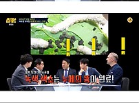 녹차 아이스크림의 비밀..